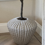 Philodendron in a Fluted Pot RTfact Flowers 