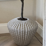 Philodendron in a Fluted Pot RTfact Flowers 