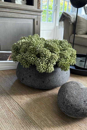 Angelica in a Dark Grey Mottled Stone Bowl