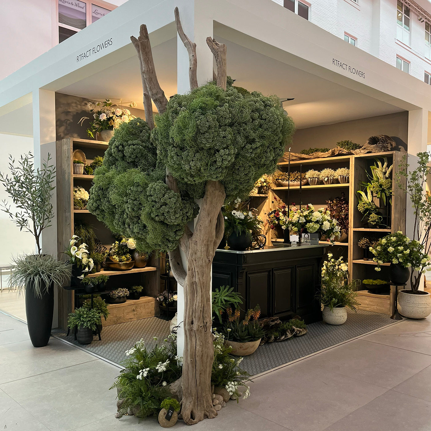 Floral shop with decorative plants and flowers outside a building