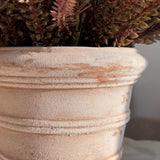 Heather in a Terracotta Ribbed Pot (Rustic pink)