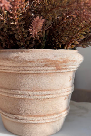 Heather in a Terracotta Ribbed Pot (Rustic pink)