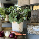 Mint in a Pale Stone Pot RTfact Flowers 