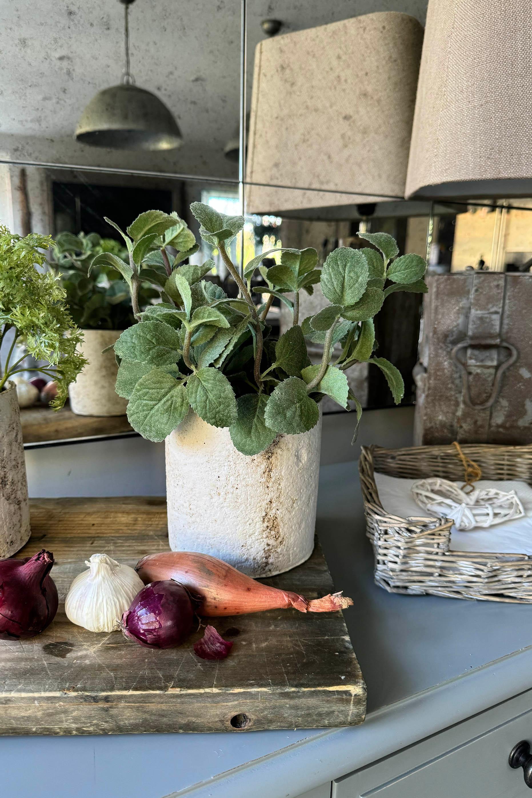 Mint in a Pale Stone Pot RTfact Flowers 