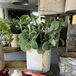 Mint in a Pale Stone Pot RTfact Flowers 