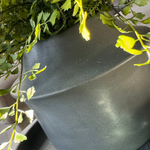 Maidenhair Fern in a Dark Grey Ceramic Pot RTfact Flowers 