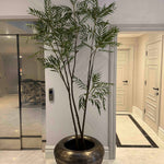 Chamaedorea tree 240cm RTfact Flowers 