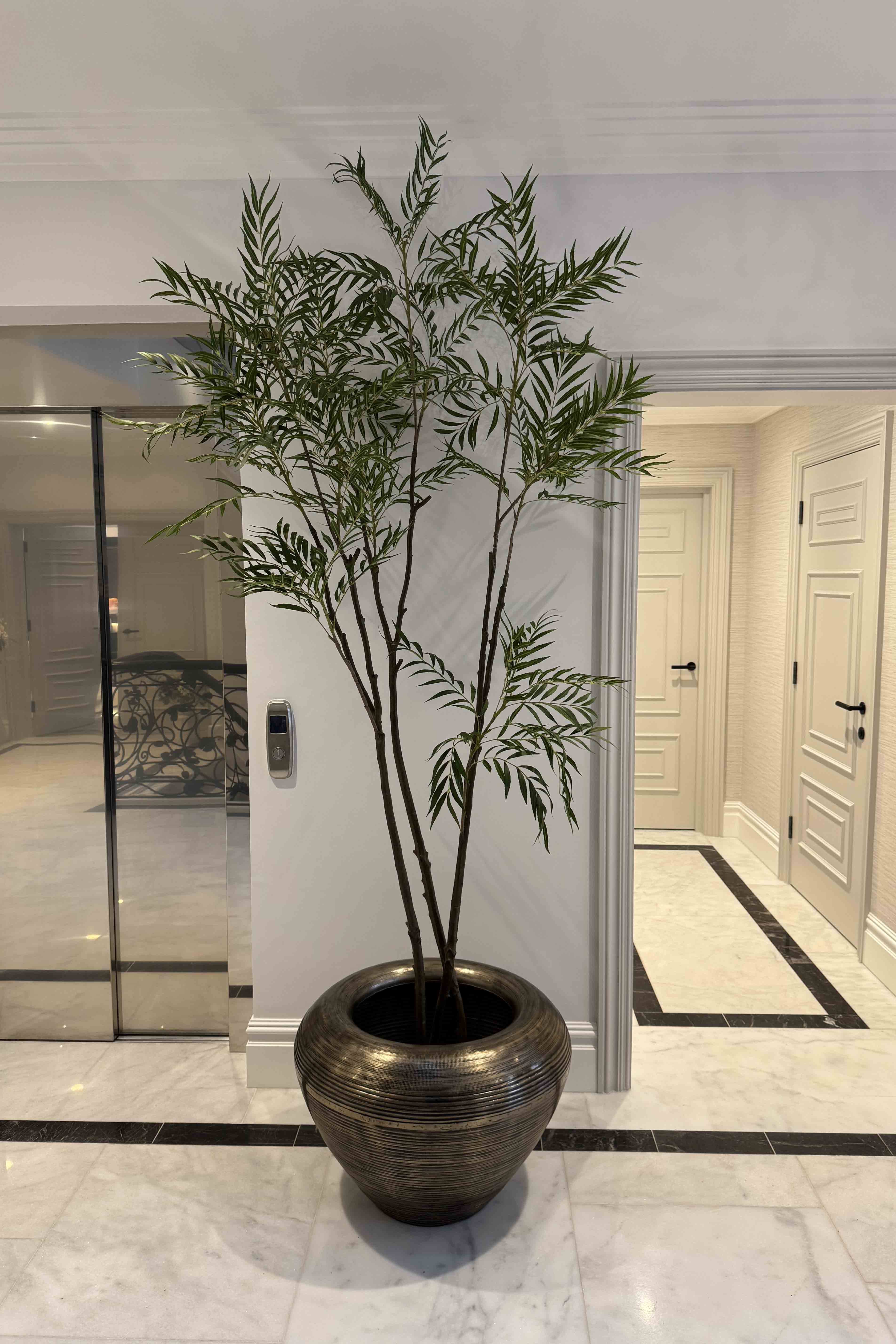 Chamaedorea tree 240cm RTfact Flowers 