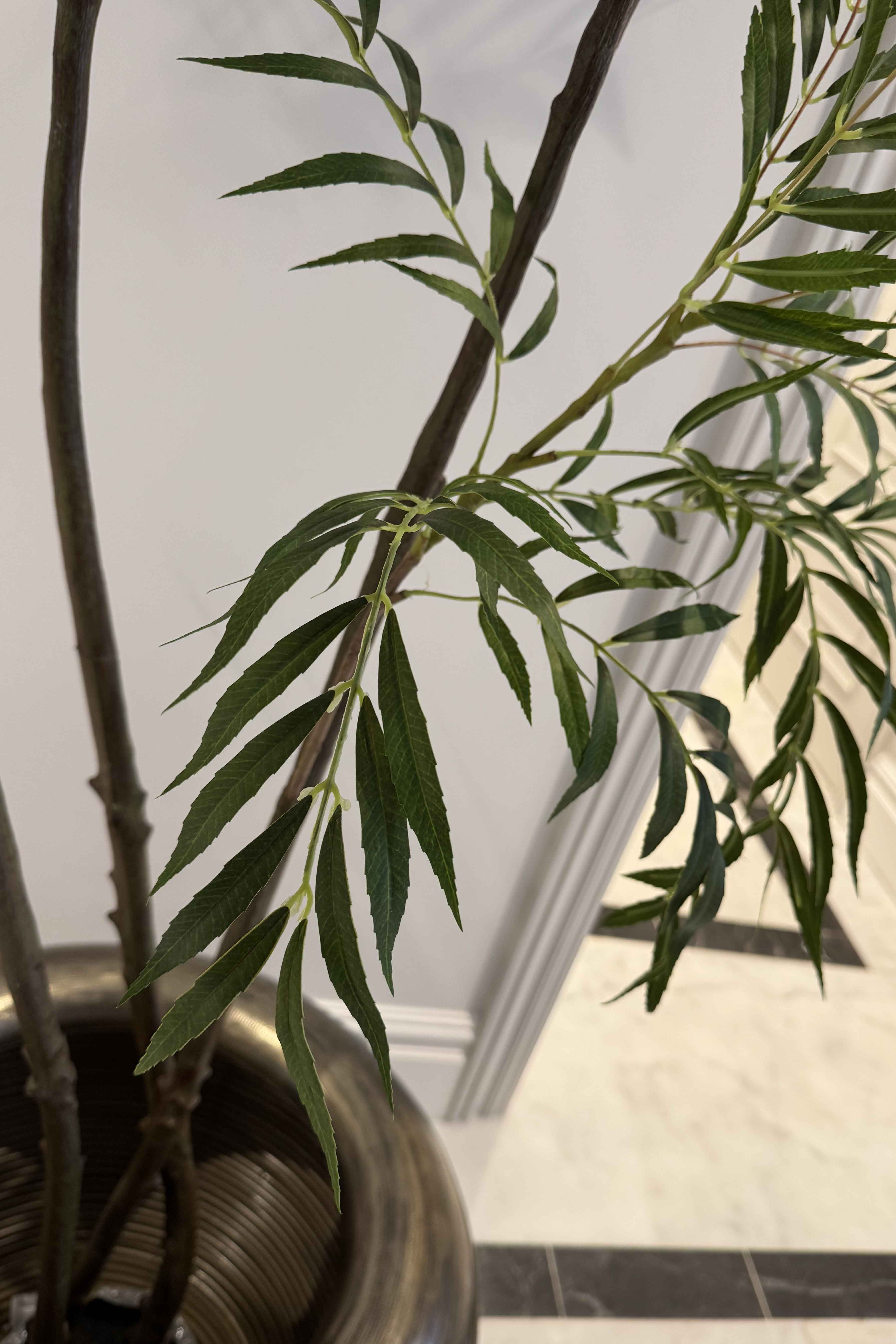 Chamaedorea tree 240cm RTfact Flowers 