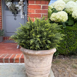 Cypress Ball