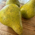 Pear conference feel real h12cm green RTfact Flowers 