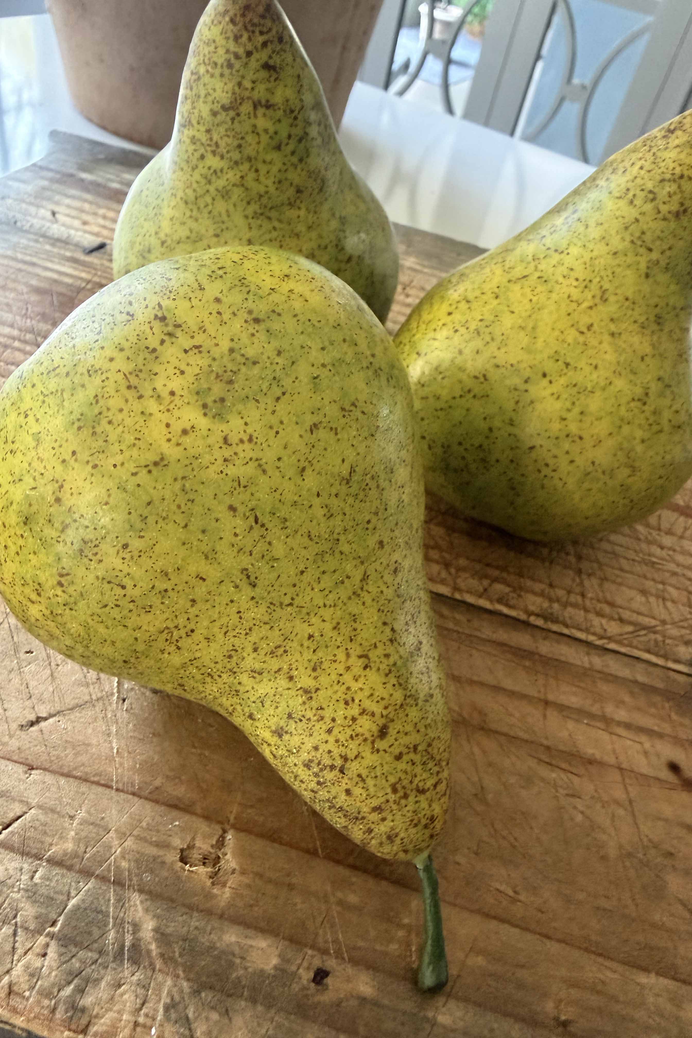 Pear conference feel real h12cm green RTfact Flowers 