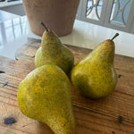 Pear conference feel real h12cm green RTfact Flowers 