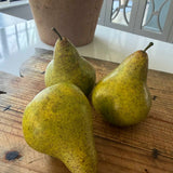 Pear conference feel real h12cm green RTfact Flowers 