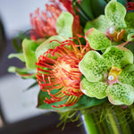 Vanda Orchids with Protea in a Stem Lined Cube RTfact Flowers 