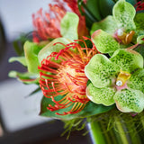 Vanda Orchids with Protea in a Stem Lined Cube RTfact Flowers 