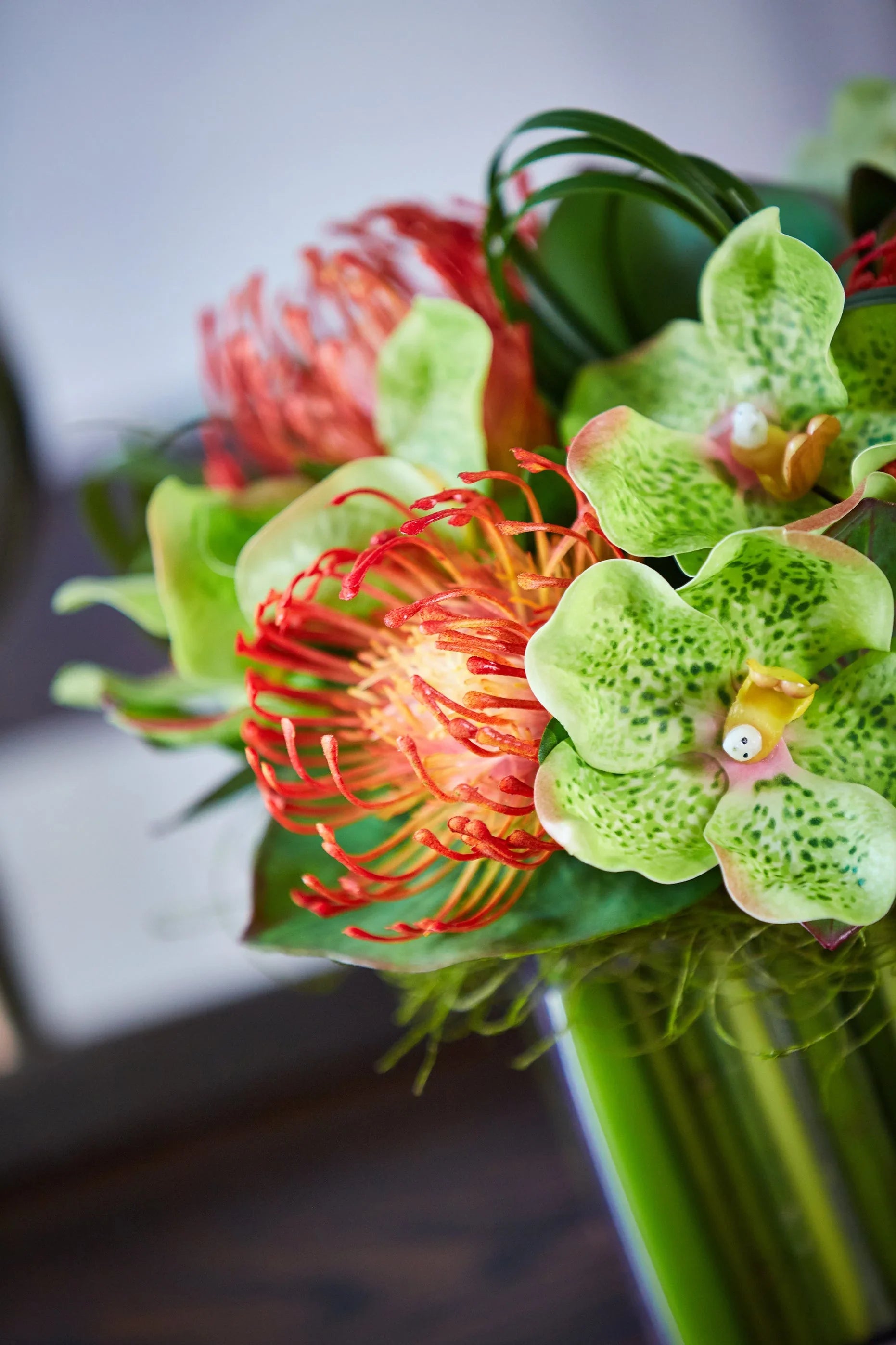 Vanda Orchids with Protea in a Stem Lined Cube RTfact Flowers 