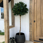 Artificial Bay Tree RTfact Flowers 