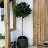 Artificial Bay Tree RTfact Flowers 