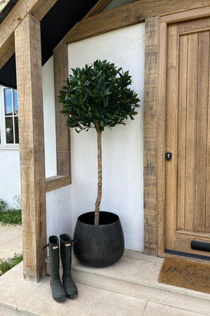 Artificial Bay Tree RTfact Flowers 