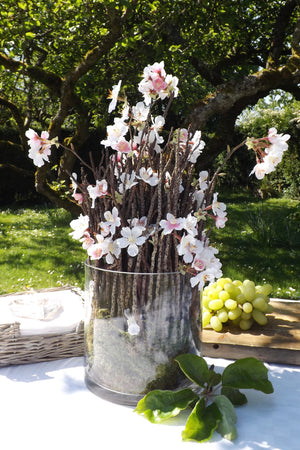 Blossom with Twigs in Glass Cylinder (Pink)
