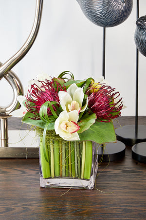Cymbidium Orchids and Protea in a Stem Lined Cube