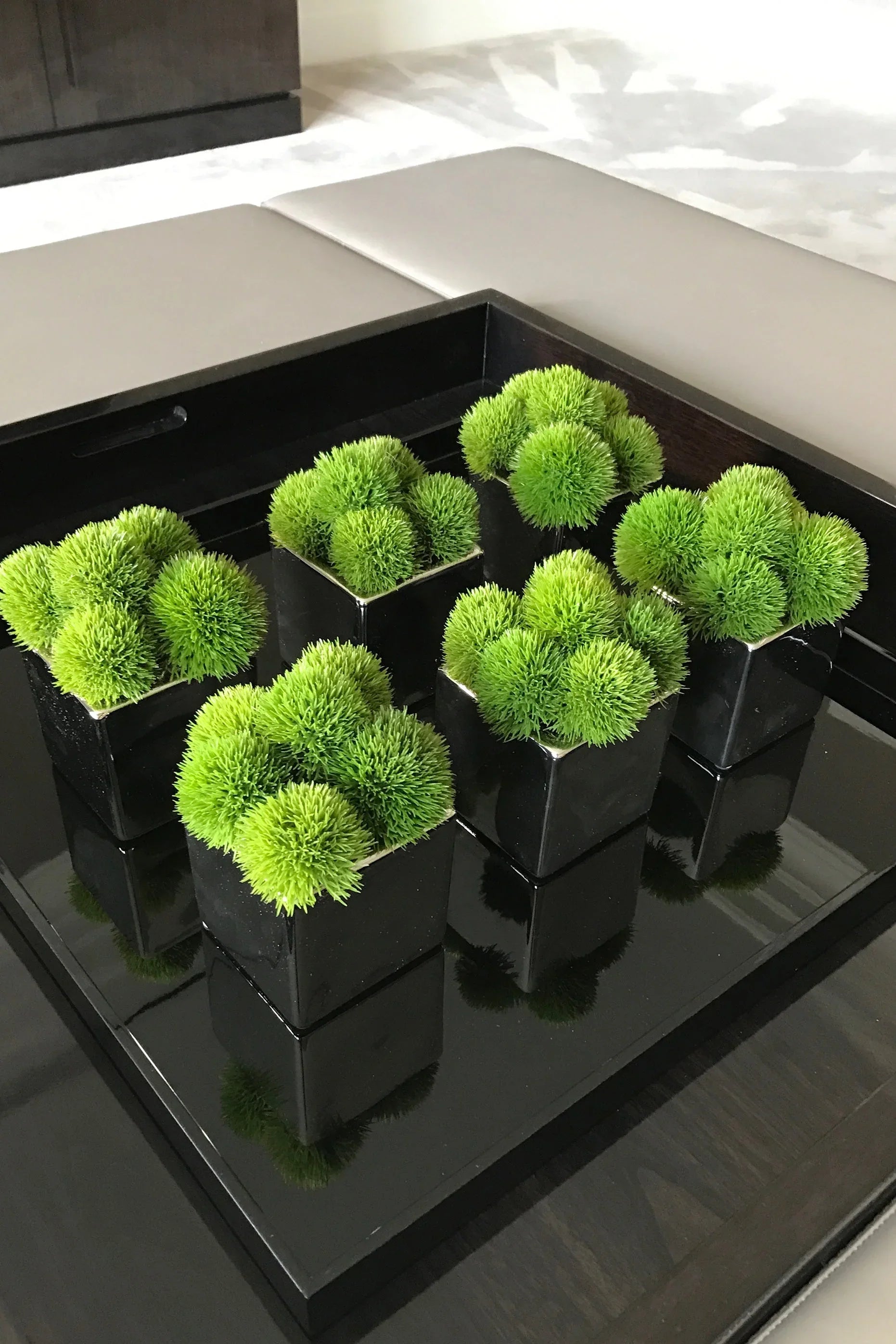 Dianthus in a Black Glass Cube RTfact Flowers 