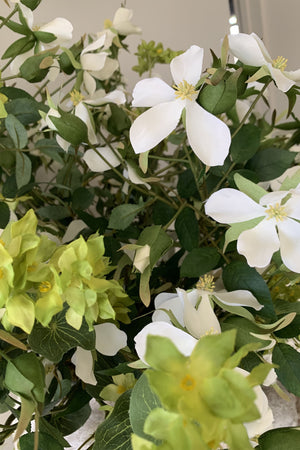 Dogwood and Blueplerium in Lime Washed Pot