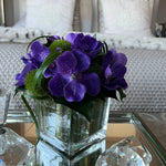 Vanda Orchid (purple) with Dianthus in a Stem Lined Cube RTfact Flowers 