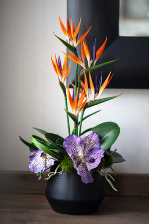 Tropical Birds of Paradise and Vanda Orchids in Black Vase