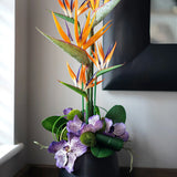Tropical Birds of Paradise and Vanda Orchids in Black Vase (Large) RTfact Flowers 