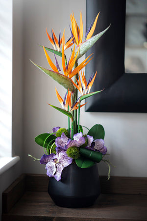 Tropical Birds of Paradise and Vanda Orchids in Black Vase (large)