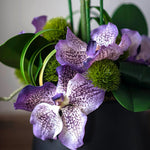 Tropical Birds of Paradise and Vanda Orchids in Black Vase (Large) RTfact Flowers 