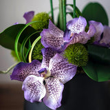 Tropical Birds of Paradise and Vanda Orchids in Black Vase (Large) RTfact Flowers 