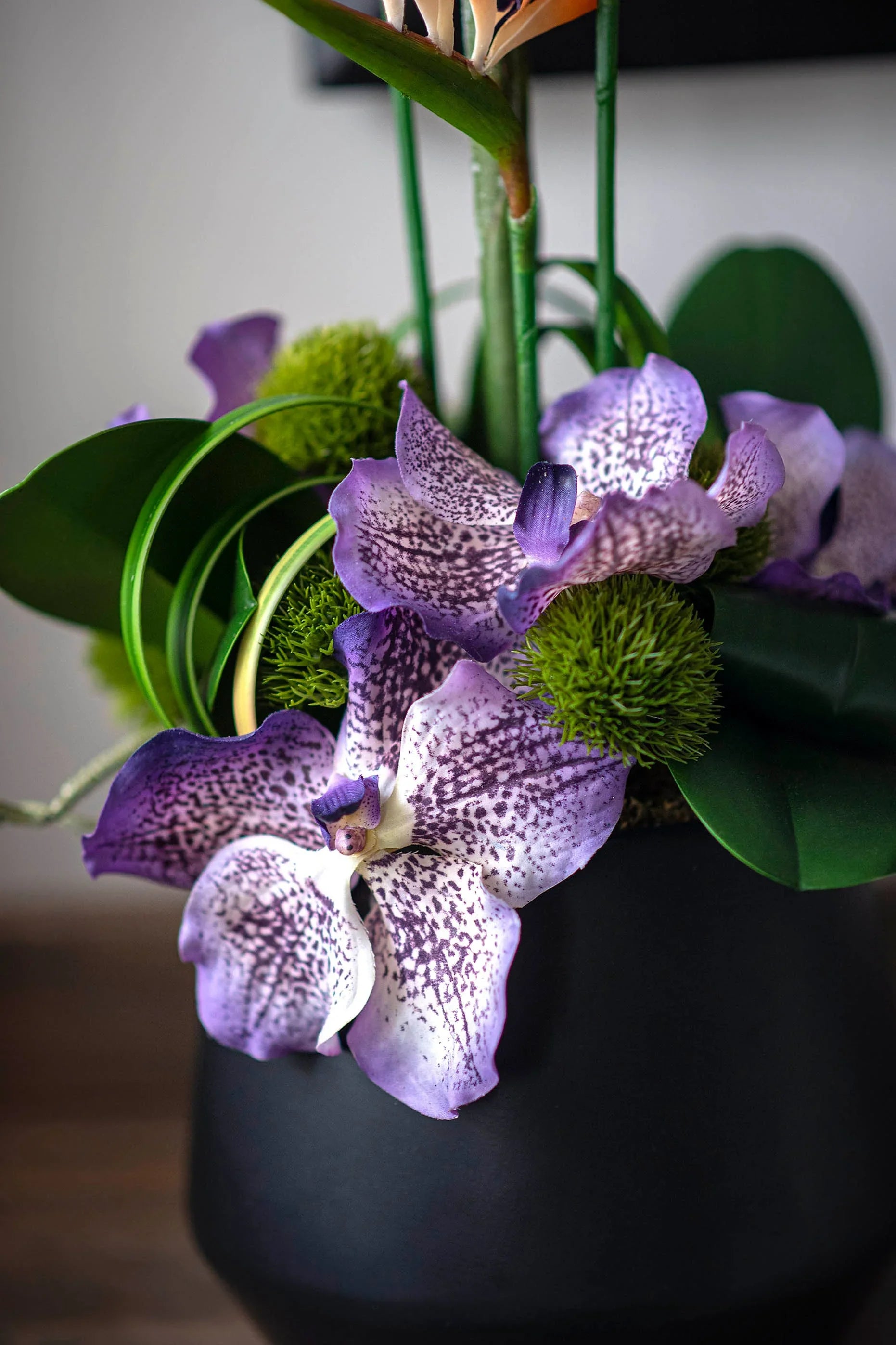 Tropical Birds of Paradise and Vanda Orchids in Black Vase (Large) RTfact Flowers 