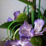 Tropical Birds of Paradise and Vanda Orchids in Black Vase (Large) RTfact Flowers 