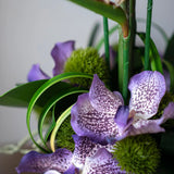Tropical Birds of Paradise and Vanda Orchids in Black Vase (Large) RTfact Flowers 