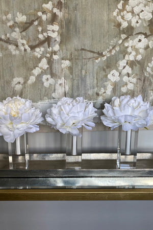 Peony in a Tall Glass Cube