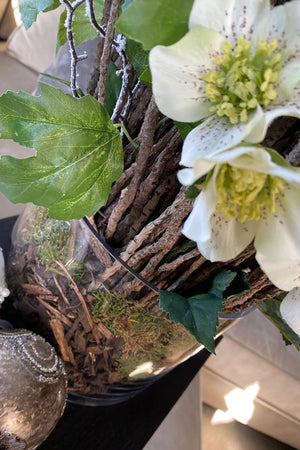 Hellebores, Guelder Rose and Twig in a Glass Cylinder