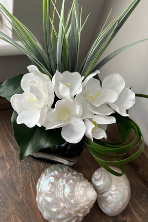 Vanda Orchids with Vanilla Grass in Black Glass Vase