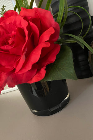 Rose with Succulent and Ivy in a Black Glass Cylinder