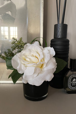 Rose with Succulent and Ivy in a Black Glass Cylinder (White)