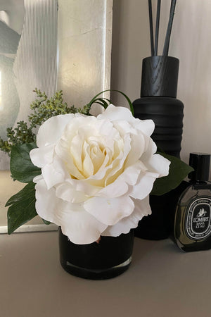 Rose with Succulent and Ivy in a Black Glass Cylinder (White)