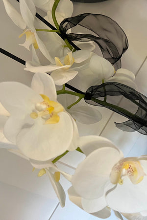 Orchids in a Black Textured Glass Vase