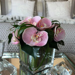 Vanda Orchid with Dianthus in a Stem Lined Cube (Pink) RTfact Flowers 