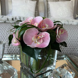 Vanda Orchid with Dianthus in a Stem Lined Cube (Pink) RTfact Flowers 