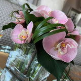 Vanda Orchid with Dianthus in a Stem Lined Cube (Pink) RTfact Flowers 
