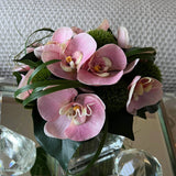 Vanda Orchid with Dianthus in a Stem Lined Cube (Pink) RTfact Flowers 