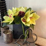 Cymbidium Orchids with Dianthus in a Pewter Stone Cube (Yellow) RTfact Flowers 