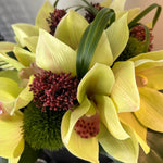Cymbidium Orchids with Dianthus in a Pewter Stone Cube (Yellow) RTfact Flowers 